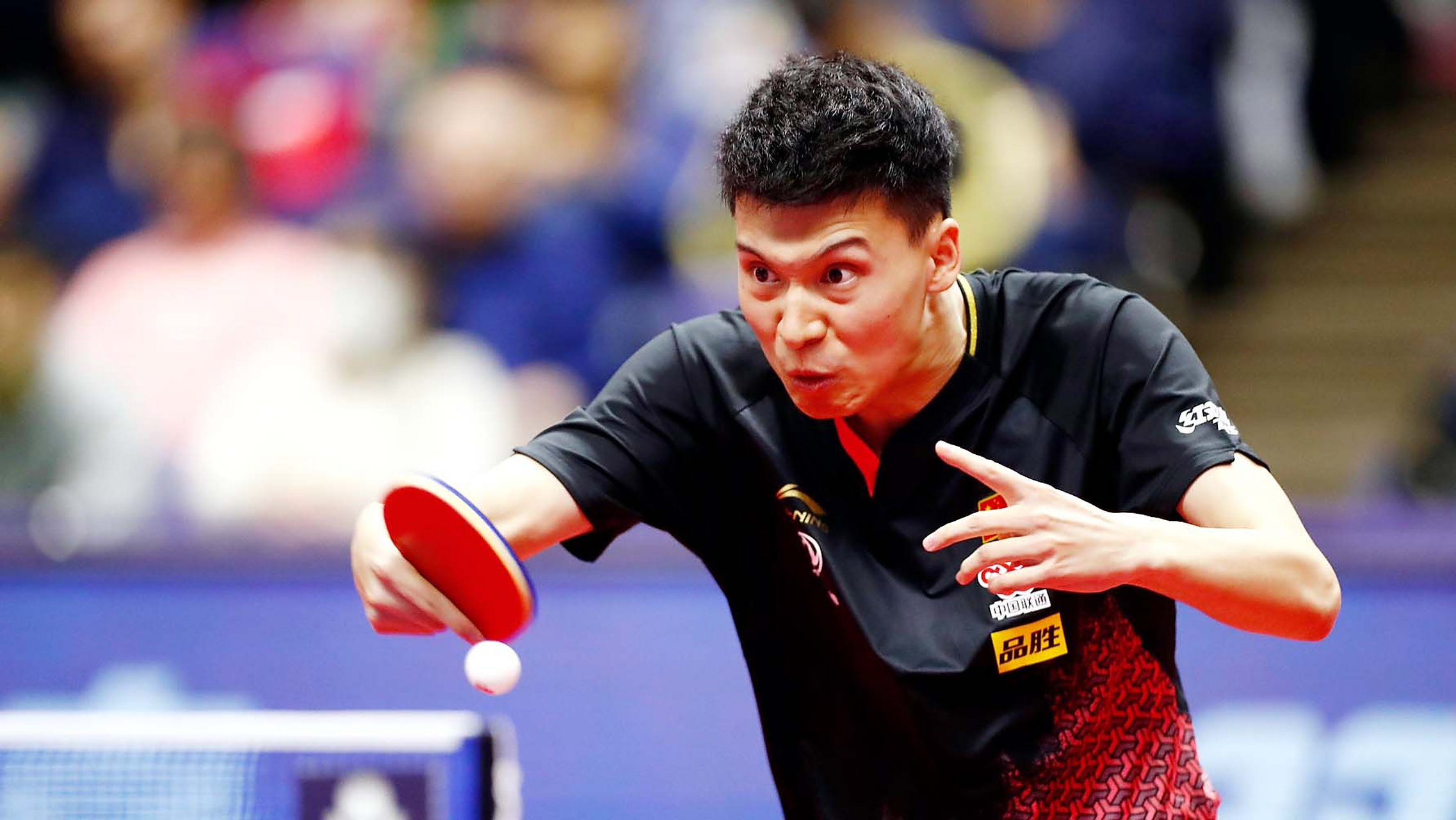 突尼斯田径选手再夺桂冠,声名大振的简单介绍 突尼斯田径选手再夺桂冠,声名大振的简单介绍