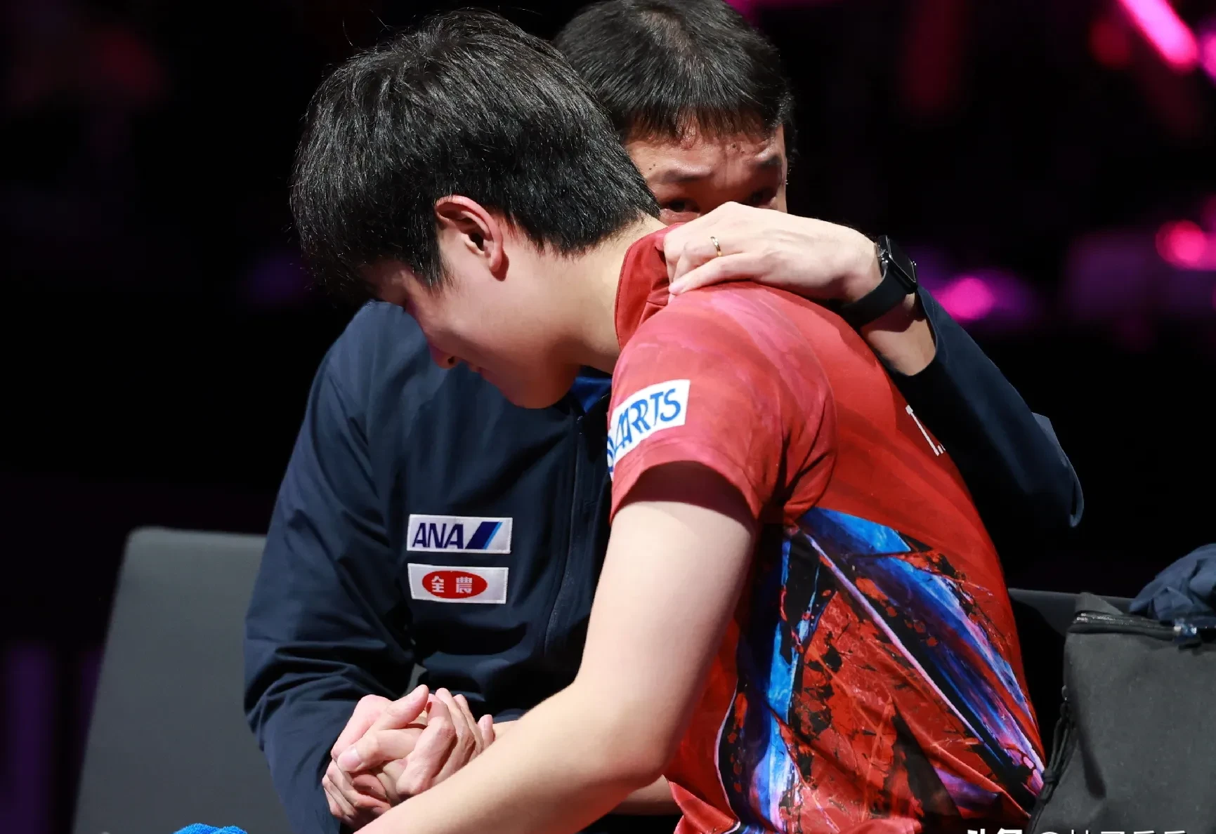 法国队横扫波兰队，张本智和带队取胜的简单介绍